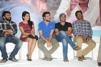 Rowdy Fellow Movie Success Meet
